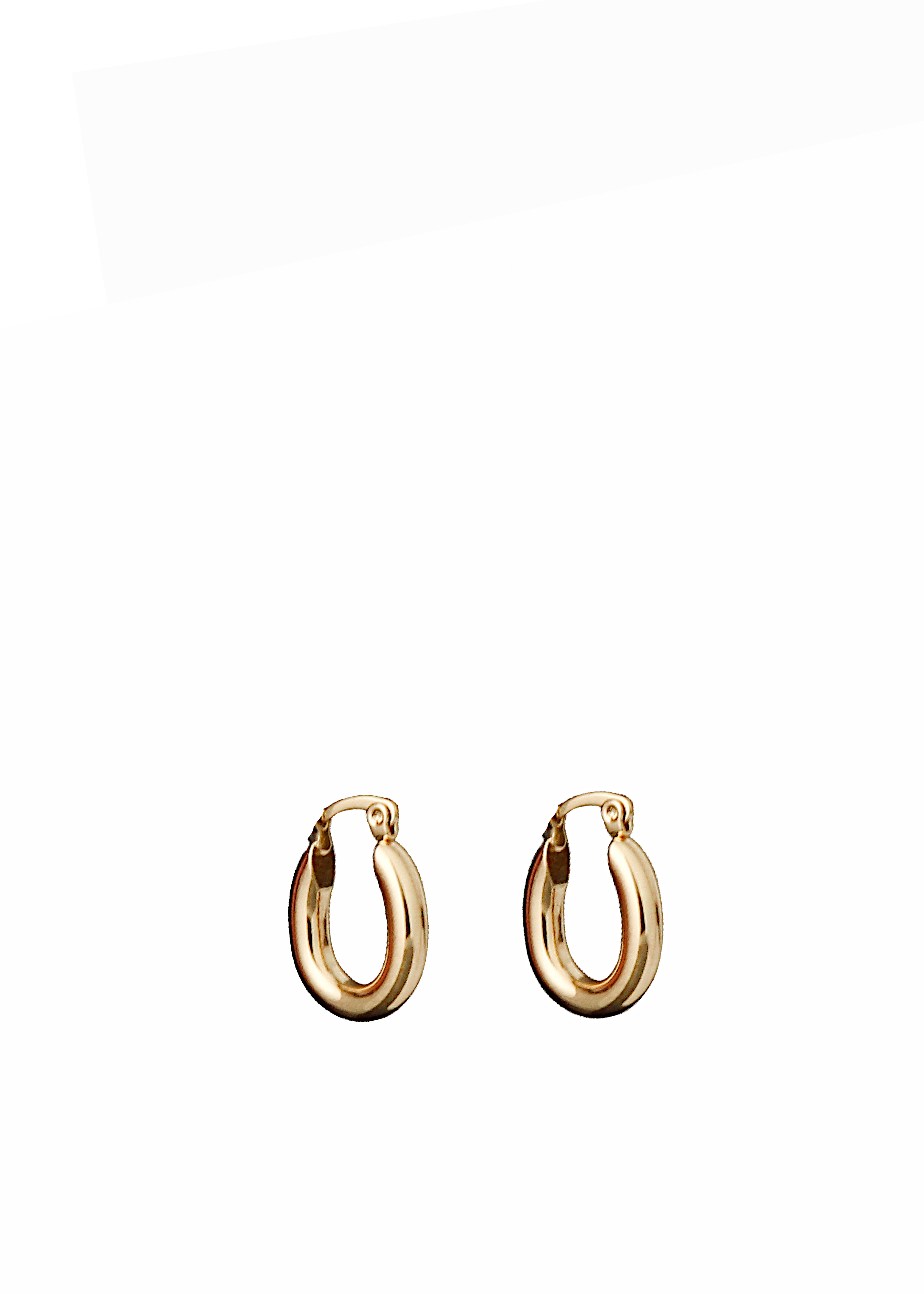 Classic Oval Huggie Hoop Earrings