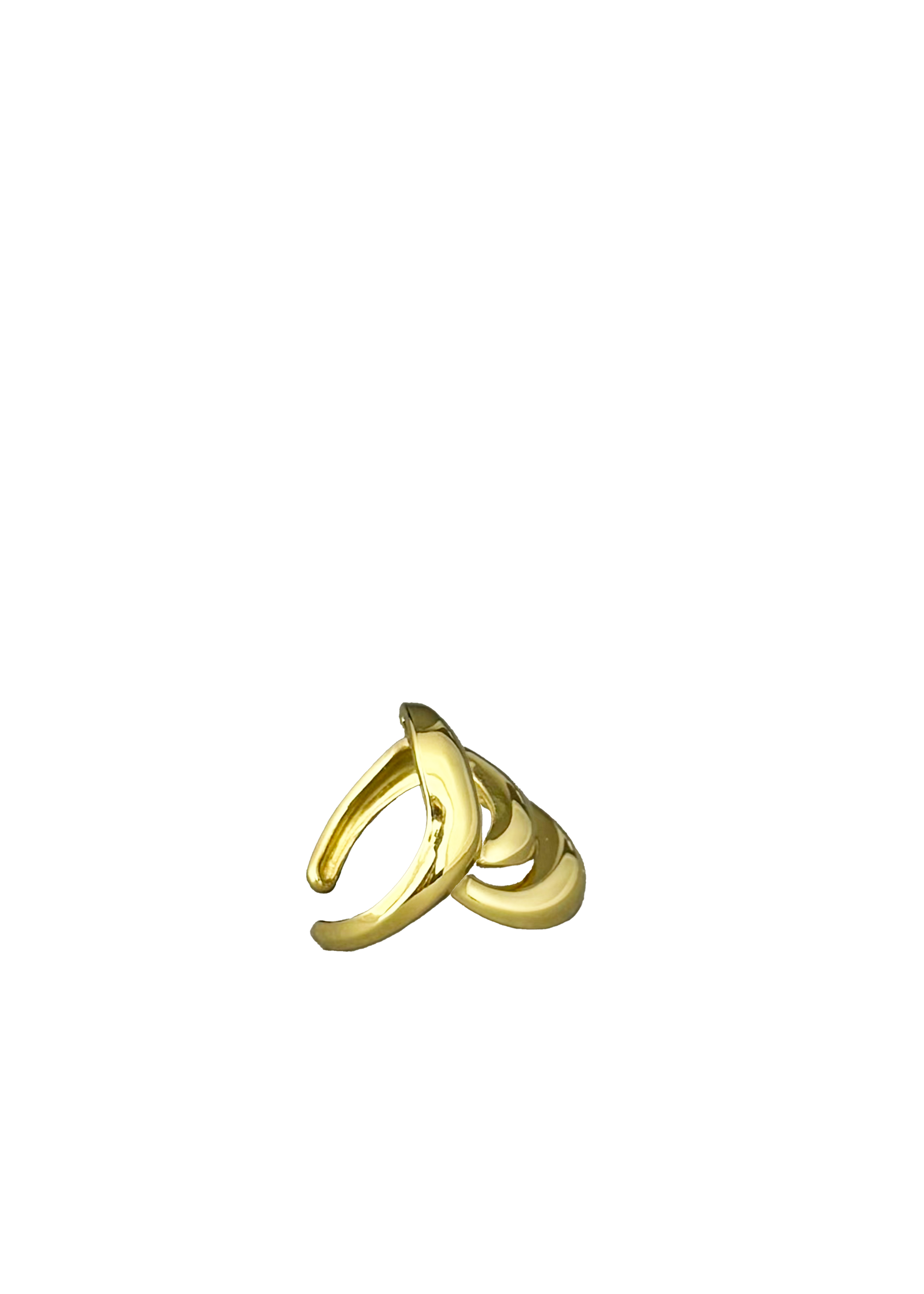 Interlocked Curve Ring