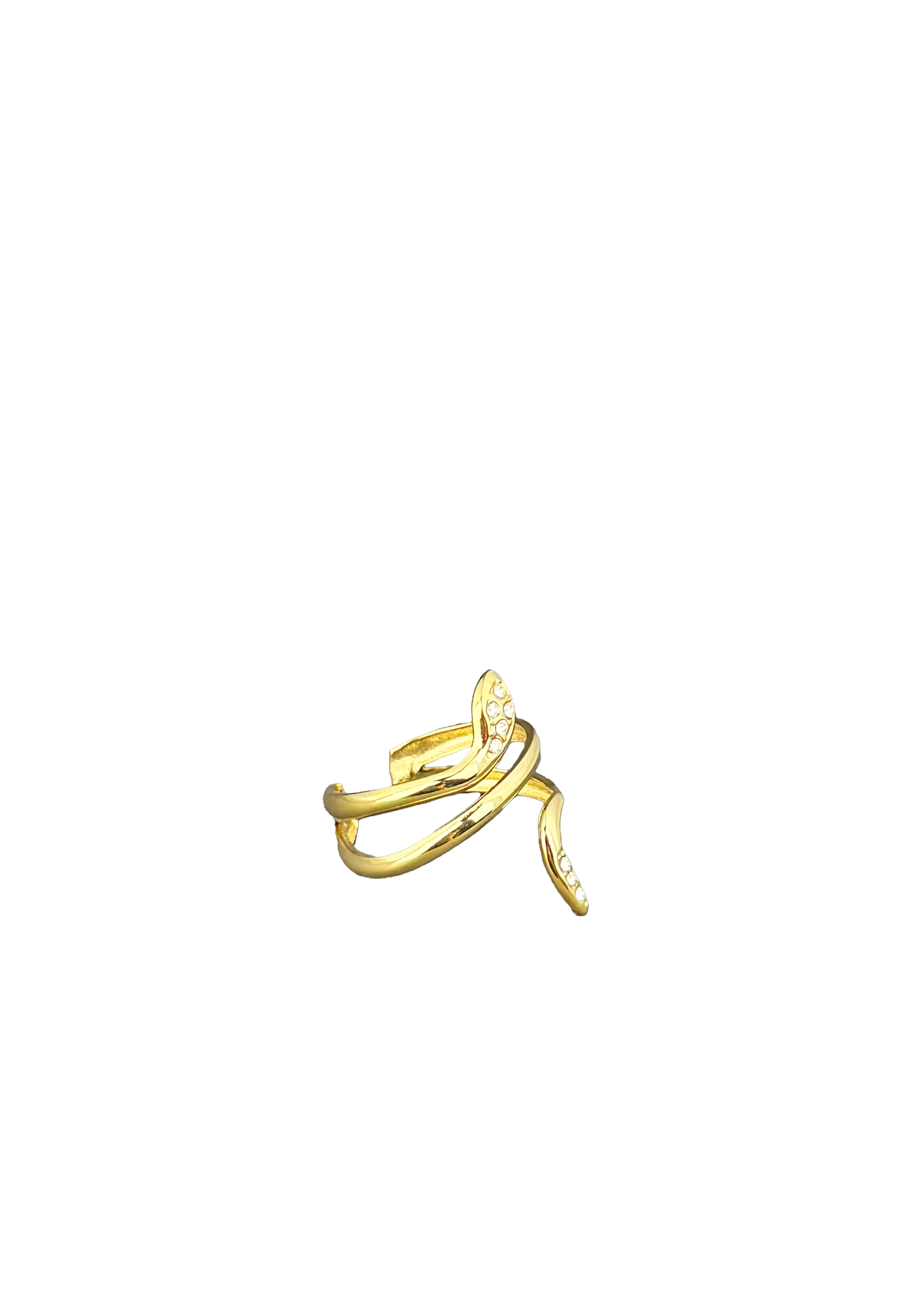 Shiny Serpent Ring